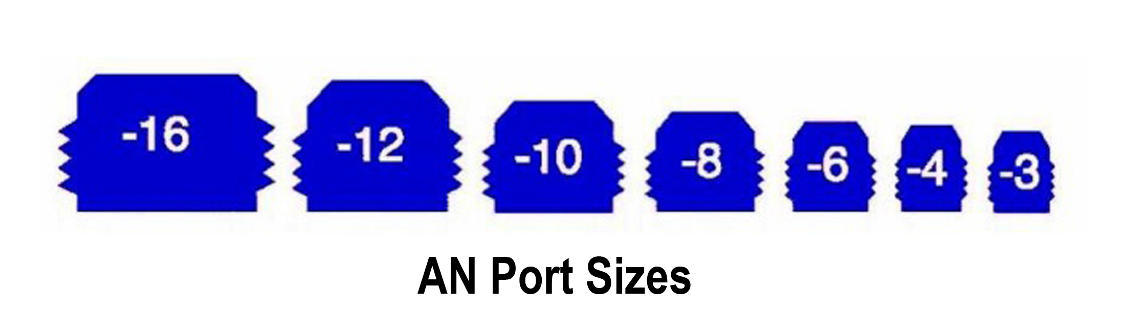 AN Port Sizes
